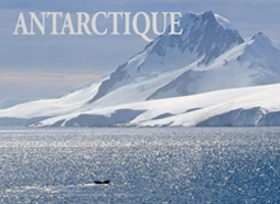 Image for Sinopsis 2 video